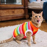 KUTKUT 2 pcs Cat Dog Sterlization Suit, Cat Surgery Recovery Suit | Physiological Poly Cotton Breathable Clothes for Abdominal Wounds or Skin Diseases Hook & Loop Closure Costume for Cats - k